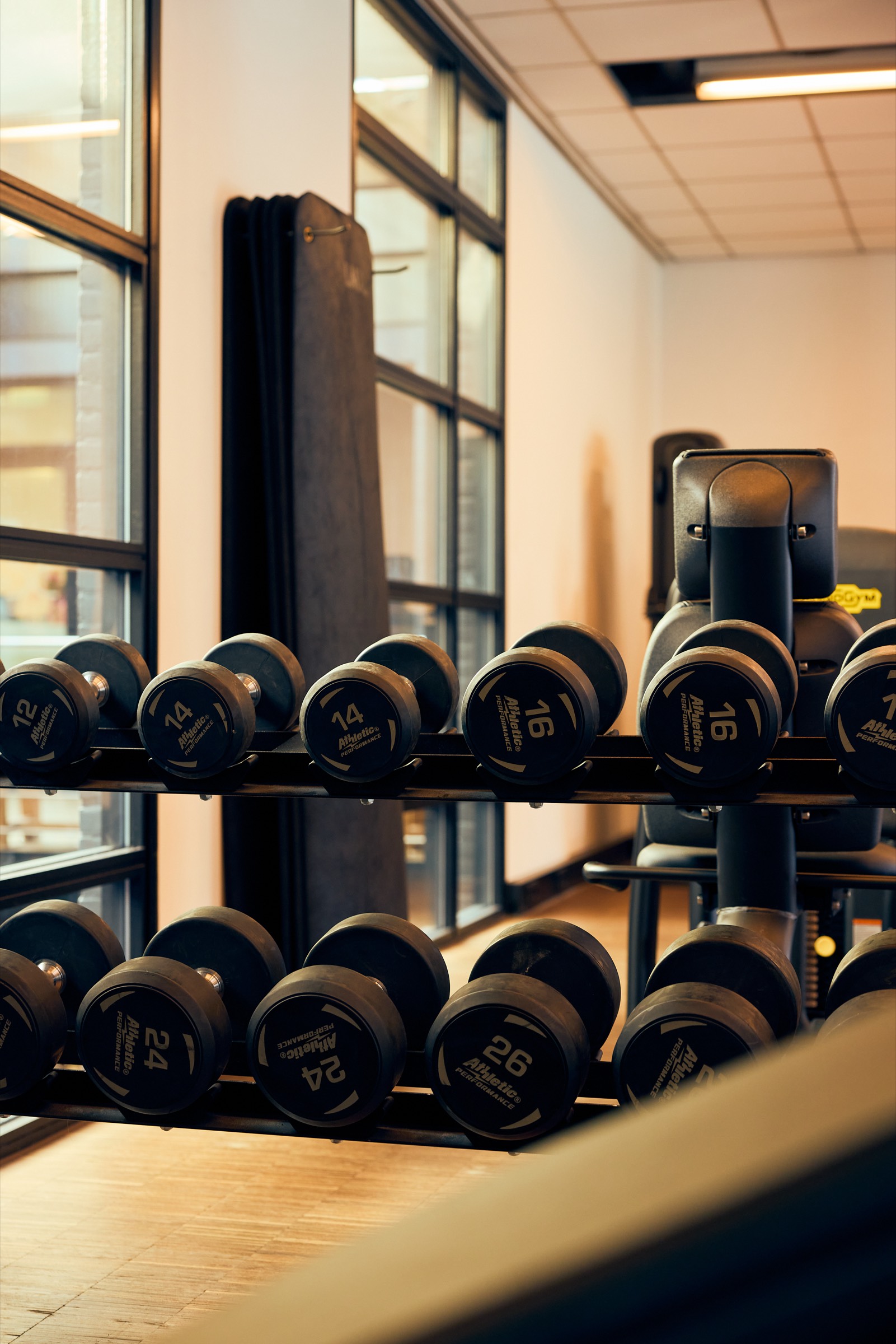 Rack of dumbbells by the window in the training room