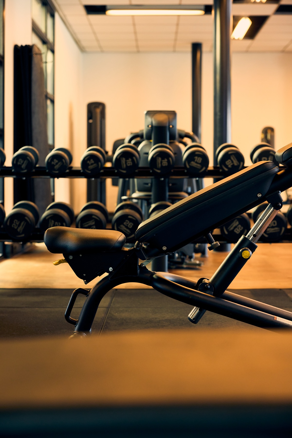Dumbbell rack and training bench in the Open Gym