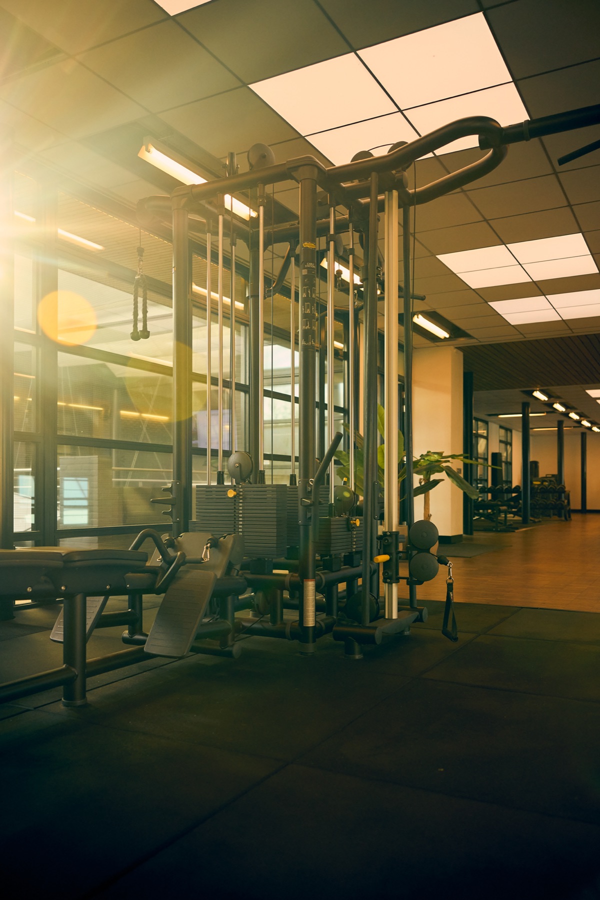 Rig and strength station in the training area
