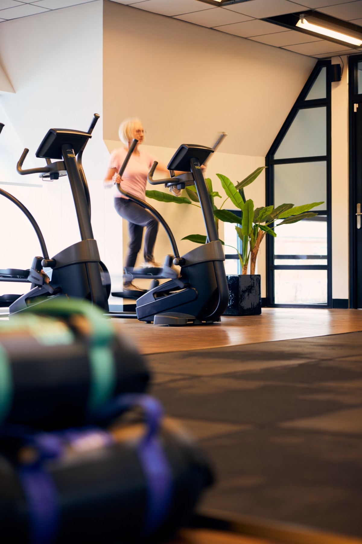 Cardio machines and plants by the windows of the training area