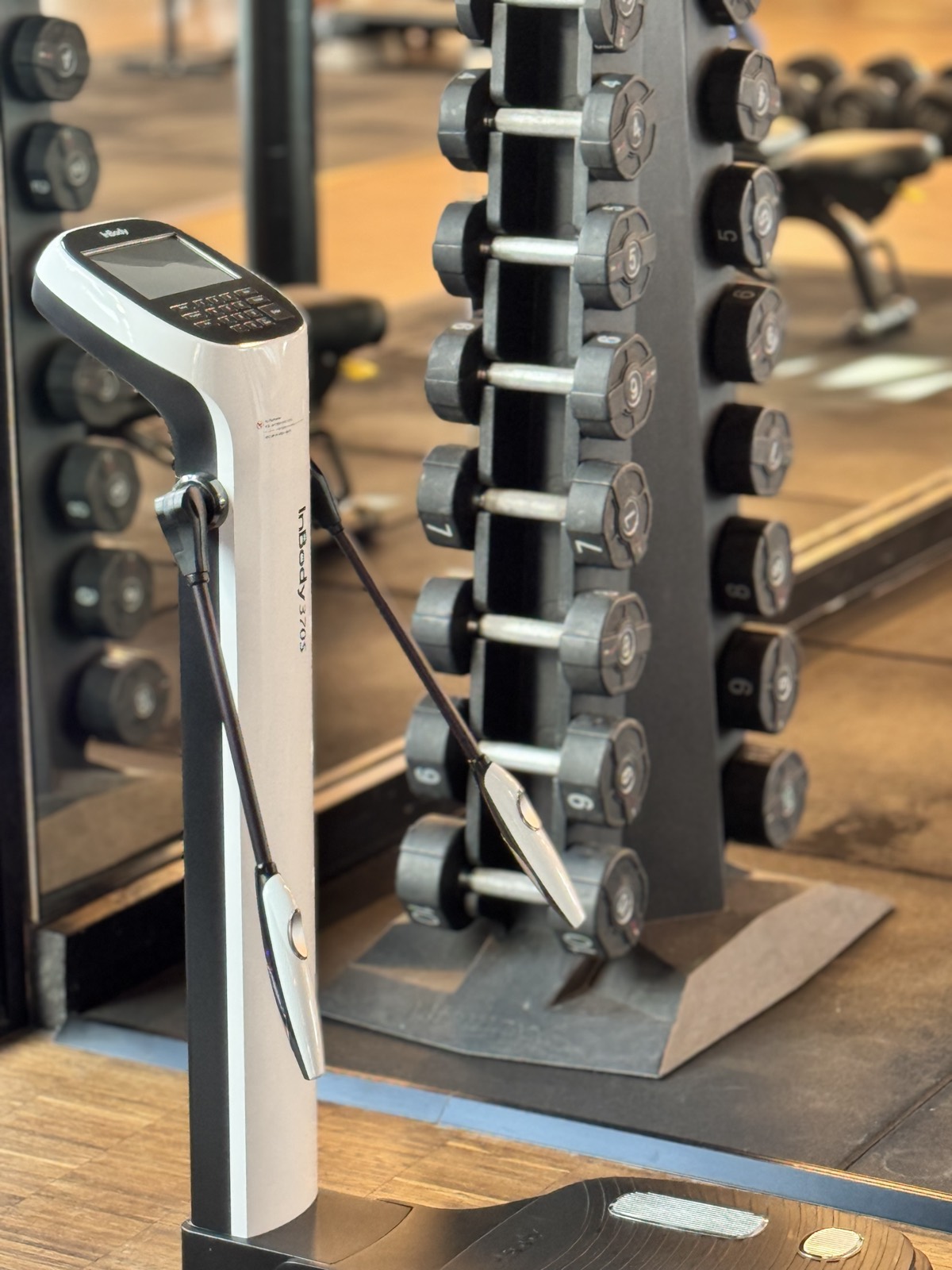 InBody device for body measurements next to the dumbbell rack
